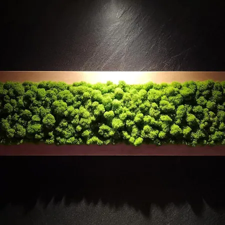 Daire Sea View Moss Vip