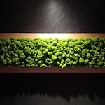Διαμέρισμα Sea View Moss Vip